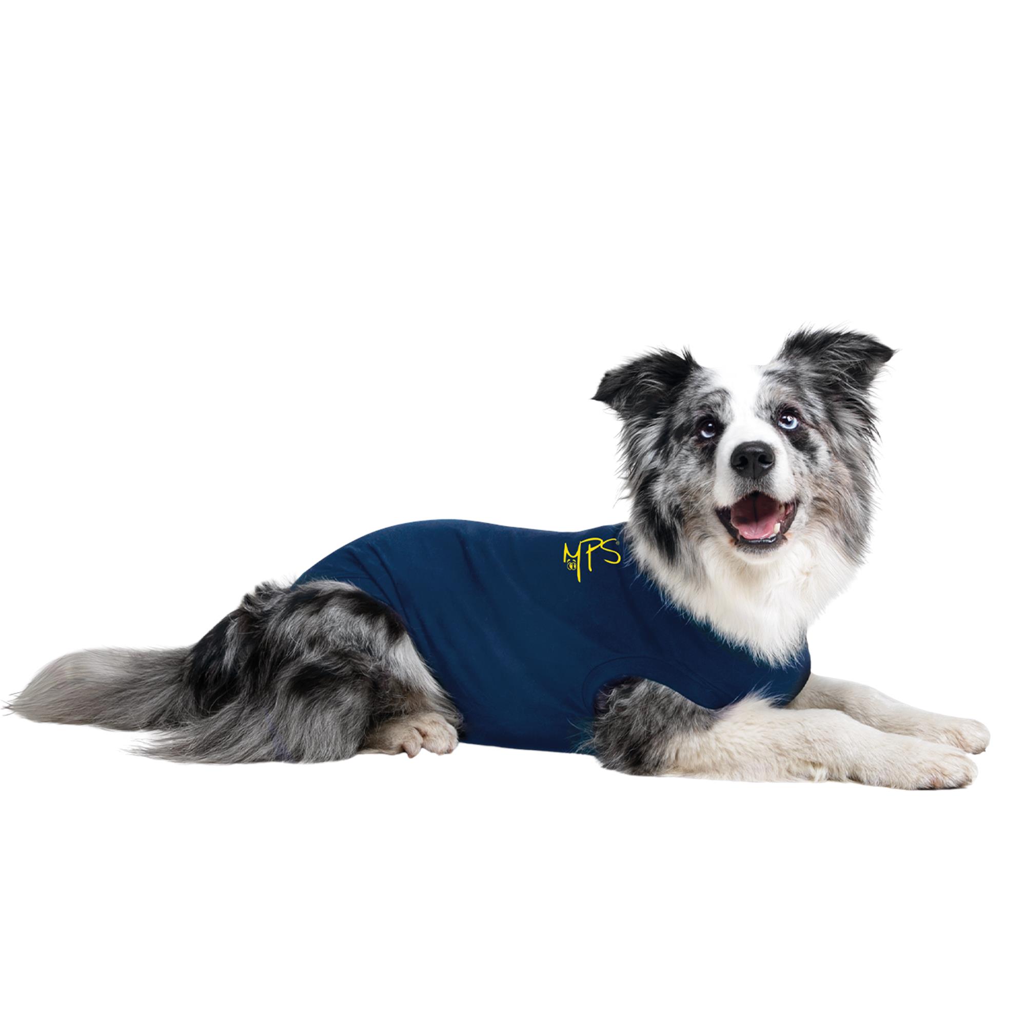 Medical Pet Shirts for Dogs - Blue - XX-Small