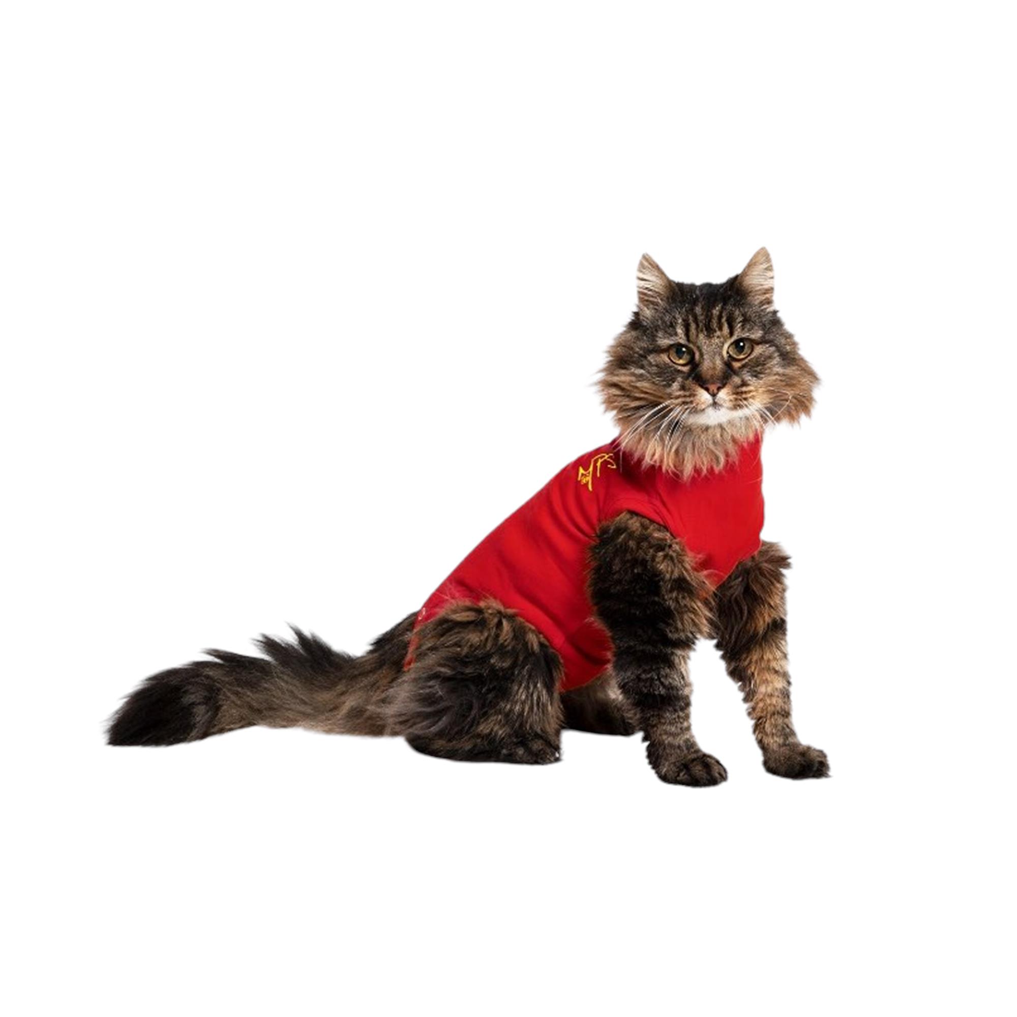 Medical Pet Shirts for Cats - Red - XXX-Small