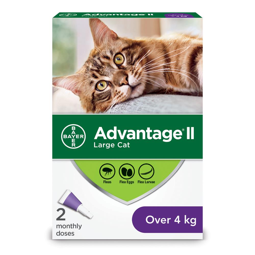 Advantage II for Large Cats - 9.1-18 lbs (4.1-8.2 kg) - 4x0.8 mL