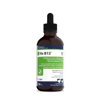 Rx Vitamins Rx B12 250 mcg/mL Liquid - 120 mL