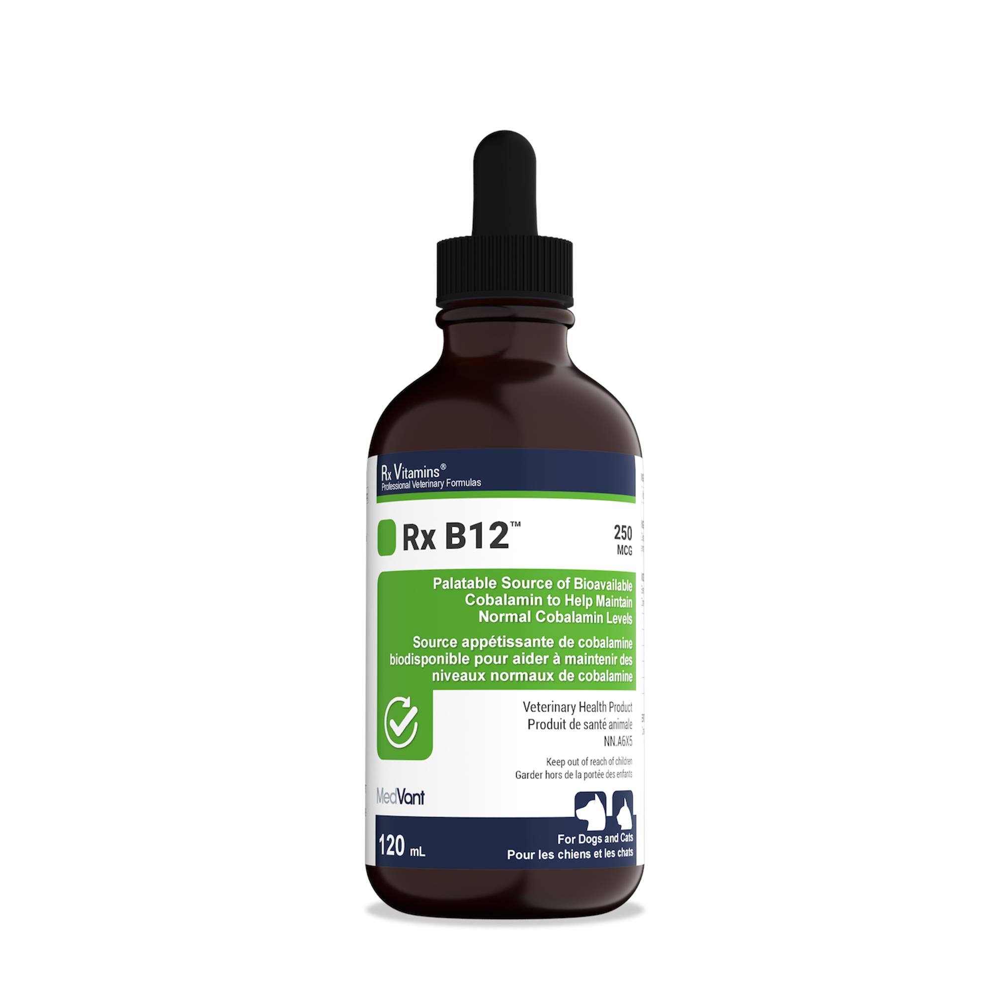 Rx Vitamins Rx B12 250 mcg/mL Liquid - 120 mL