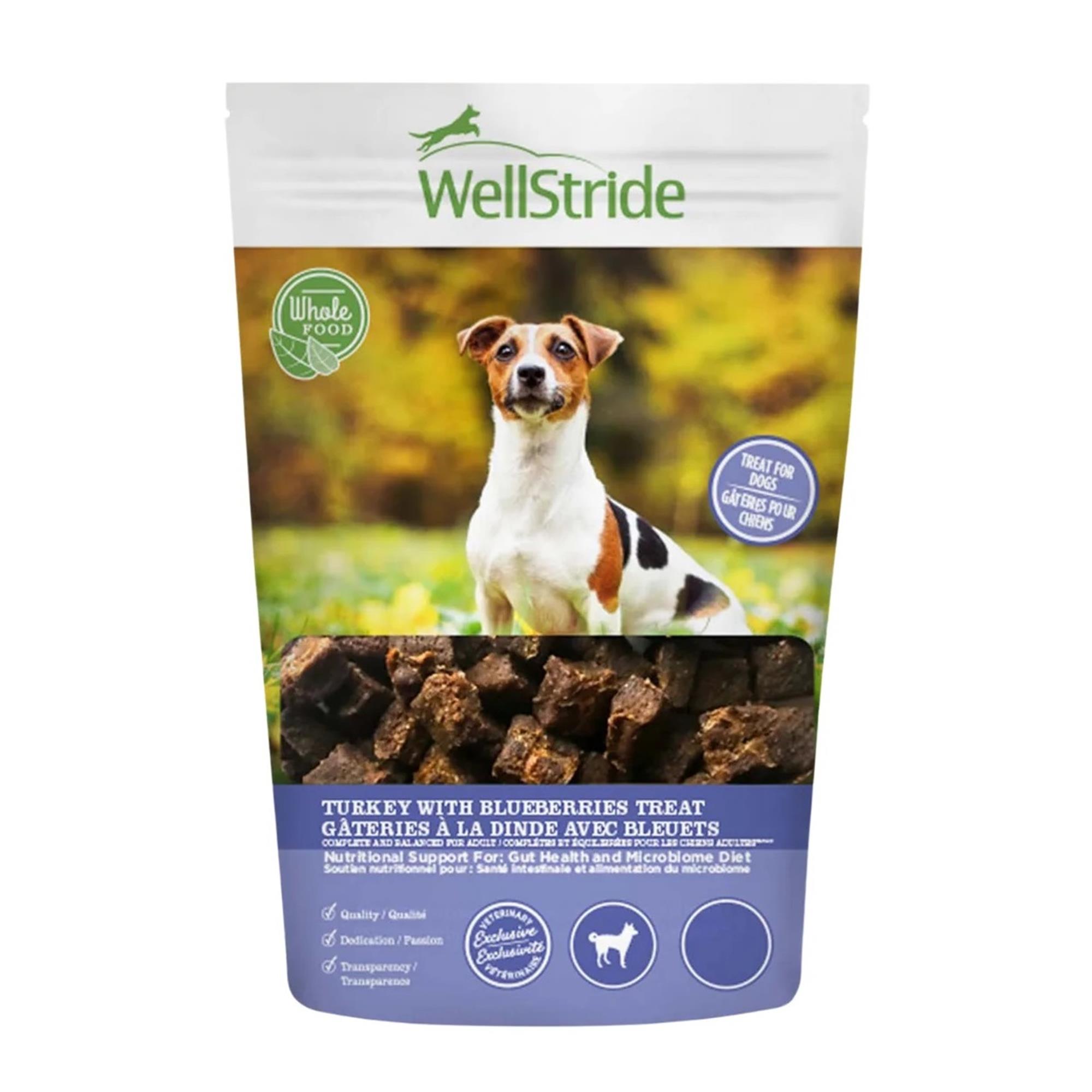 Rayne Wellstride Dog Treats - Turkey with Blueberries - 255 g