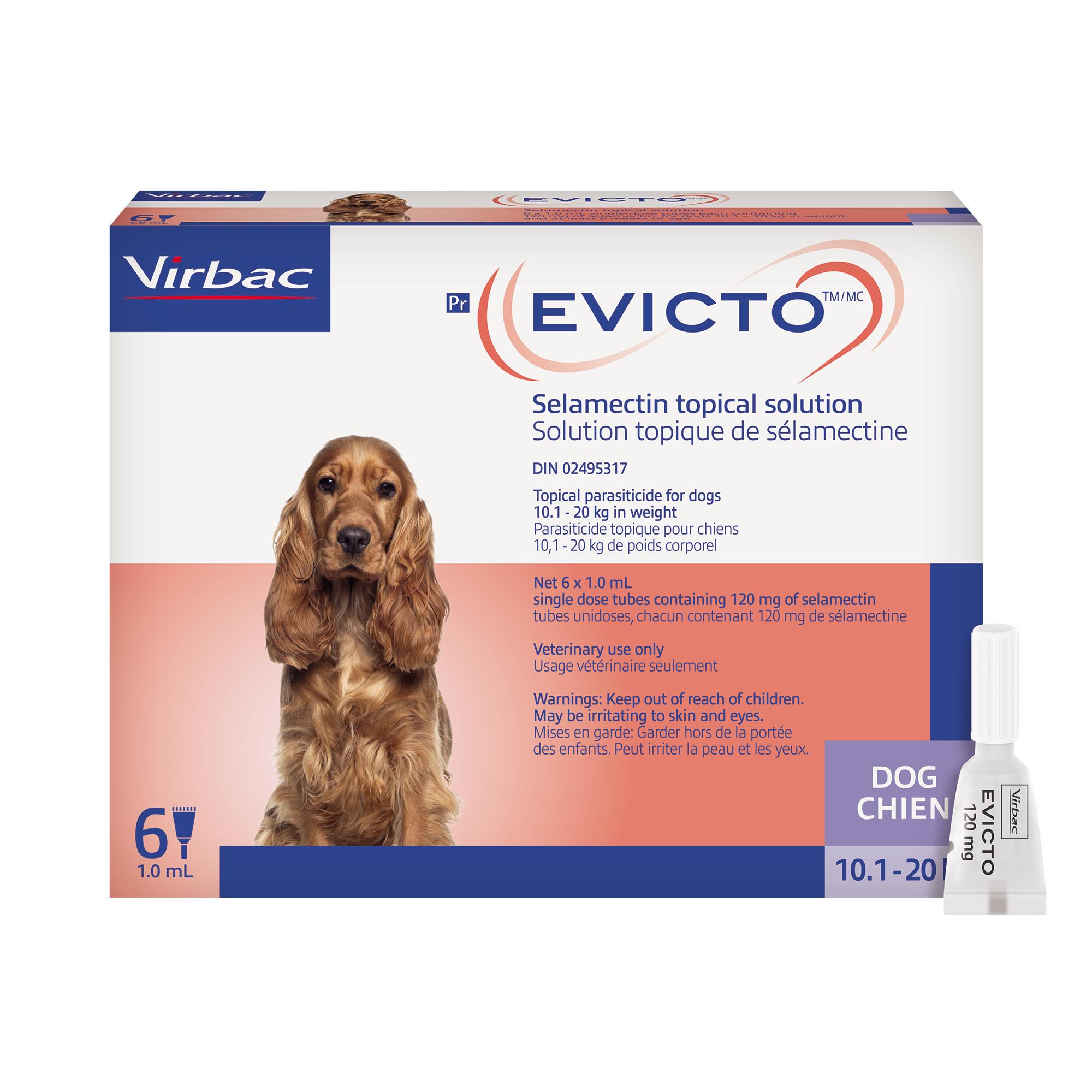 EVICTO® Selamectin Topical Solution for Dogs - 10.1-20 kg - 6 x 1 mL
