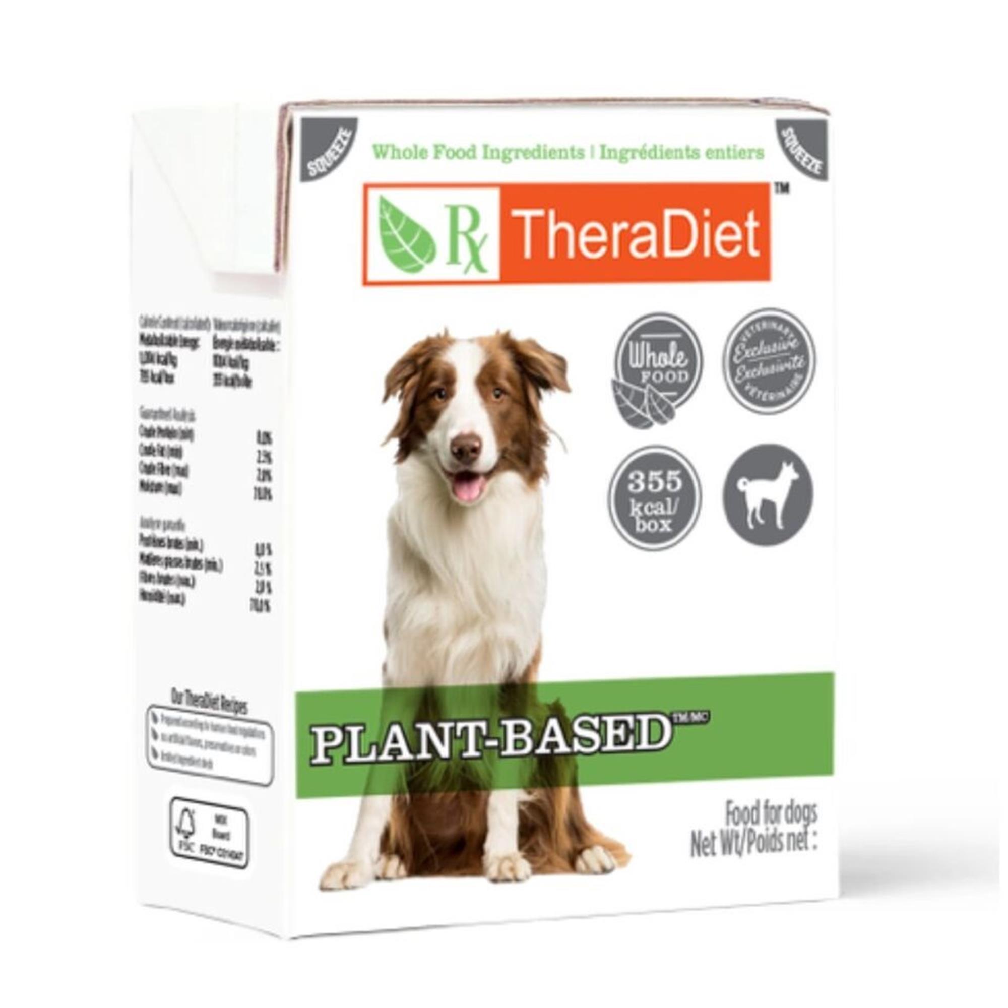 Rayne Canine Plant-Based Chunky Stew (Wet/TetraPak) - 12 x 354 g