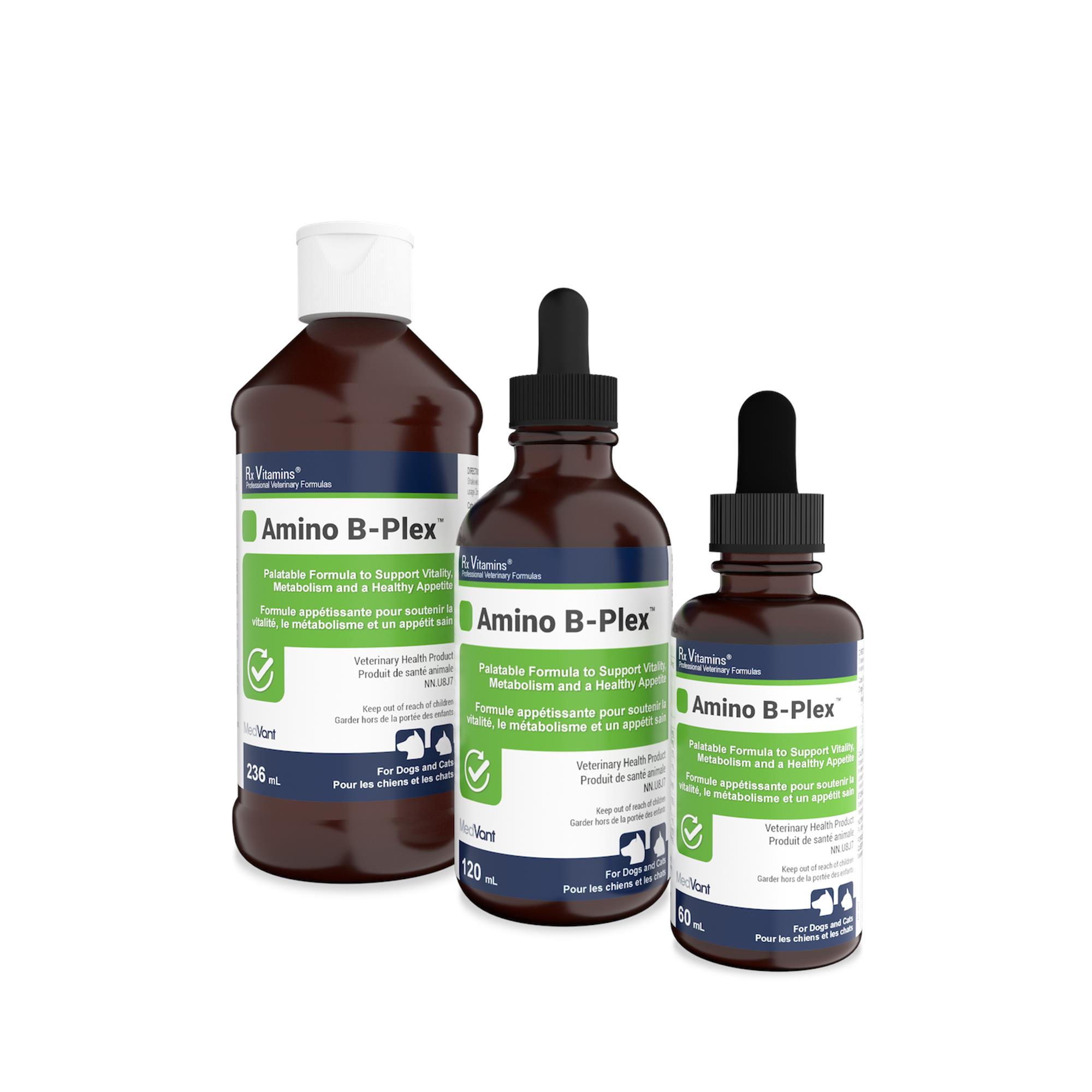 Rx Vitamins Amino B-Plex Liquid - 60 mL