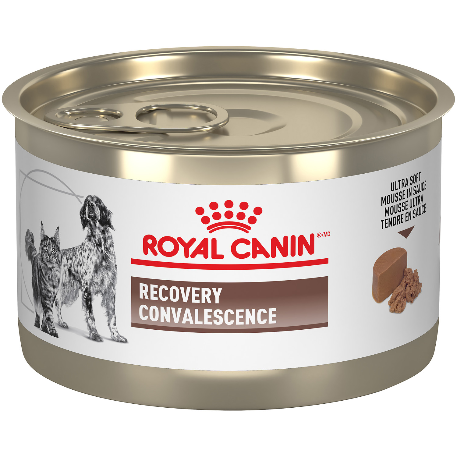 Royal Canin® VETERINARY DIET® Feline And Canine Recovery® Rs Canned Cat Food And Canned Dog Food (Wet) - 24x 145 g